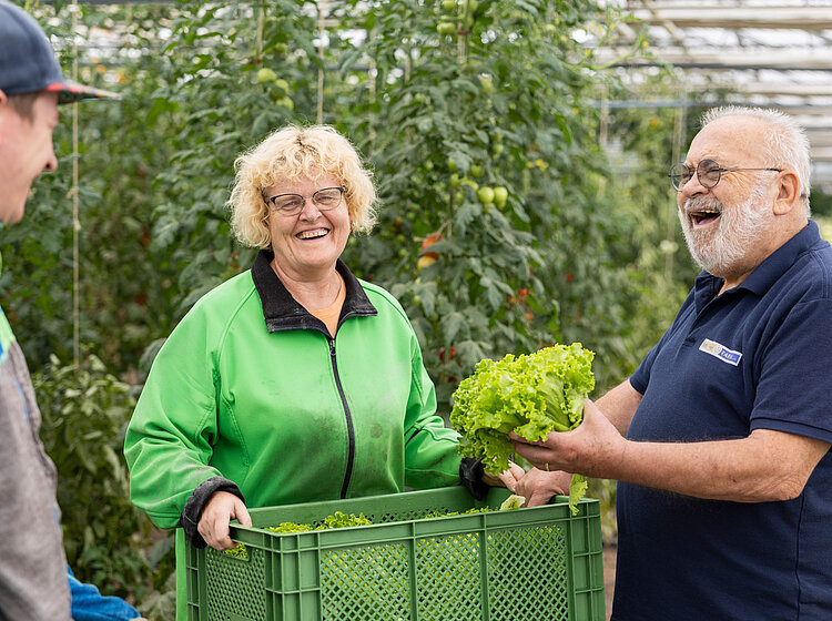  Zwei Freiwillige der Tettnanger Tafel lachen und halten frischen Salat in einem Gewächshaus