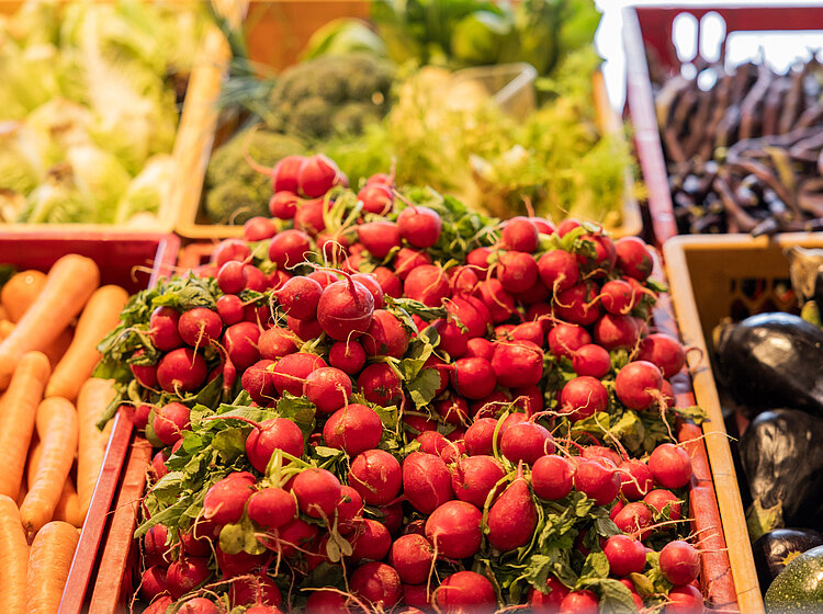 Ein Display voller frischer Radieschen, Karotten und anderer Gemüse bei der Tettnanger Tafel
